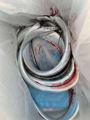 朝まづめ出勤前の朝練