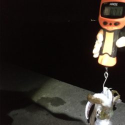 大汗かきました