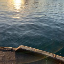 今日もタチウオ朝練