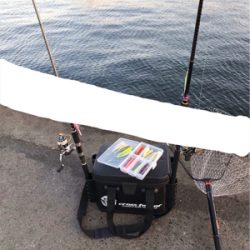 今シーズン最初で最後？のタチウオ爆釣