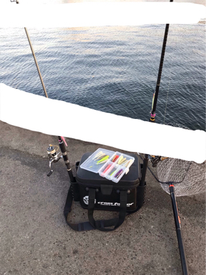 今シーズン最初で最後？のタチウオ爆釣