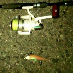 ワインドでタチウオ