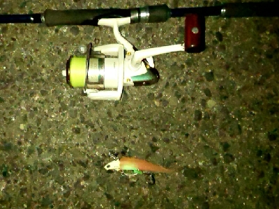 ワインドでタチウオ