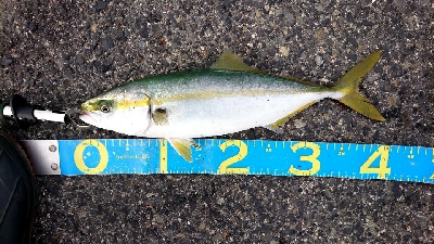 激渋の中、なんとか