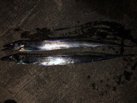 武庫一ワインド2