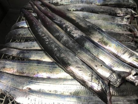 今年初の二けた