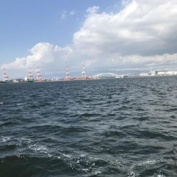 荒れた状態のコスモは釣れりのか