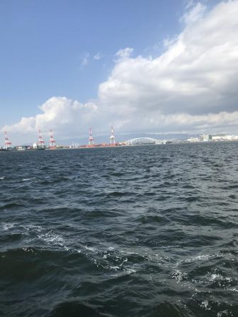 荒れた状態のコスモは釣れりのか