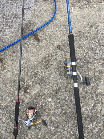 加太漁港で大型青物