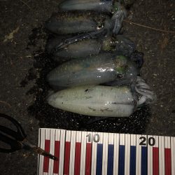 14時間滞在釣行