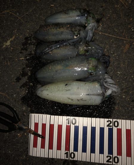 14時間滞在釣行