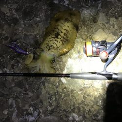 ちょっとだけ遠征エギング