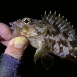 地合いつかめず