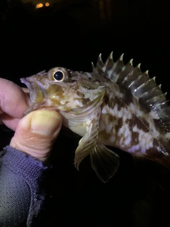 地合いつかめず