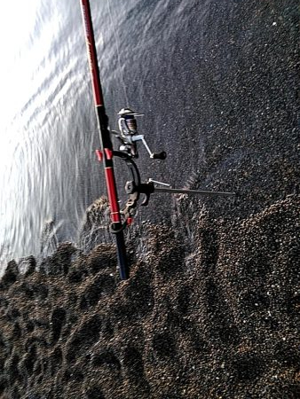 アオリイカ　3杯ゲット!!