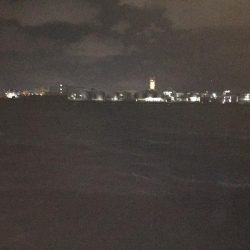 食コンのタチウオ居る？