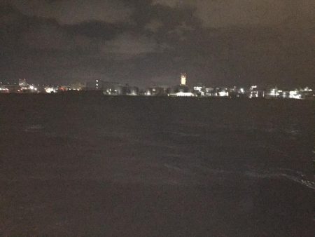 食コンのタチウオ居る？