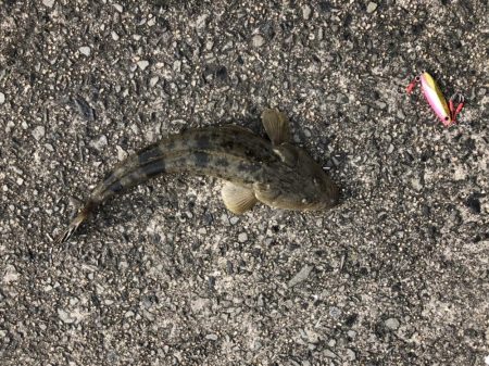 ショアジギング