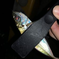 アーバンサイドアジング