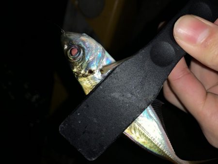 アーバンサイドアジング