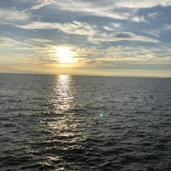 人生初南港海釣り公園