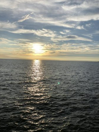 人生初南港海釣り公園