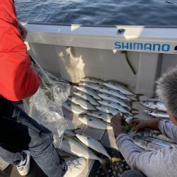 オフショアジギング　タチパターン