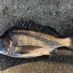 イチノ兄弟、釣果!