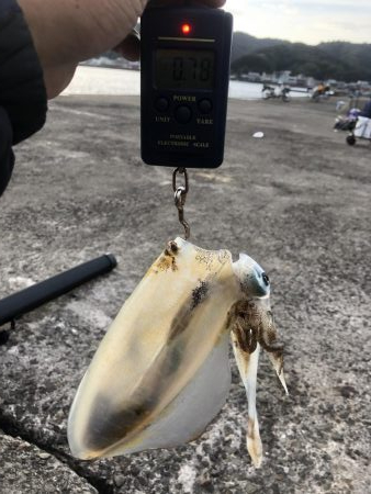 ショアジギング