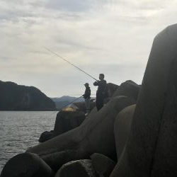 ショアジギングでヒラメ