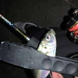 アーバンサイドアジング