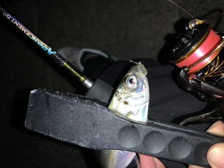 アーバンサイドアジング