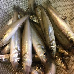 和田島T字付近でキス