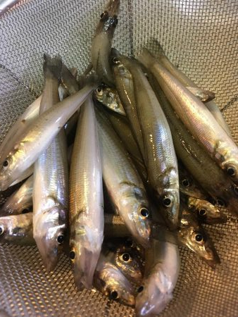 和田島T字付近でキス