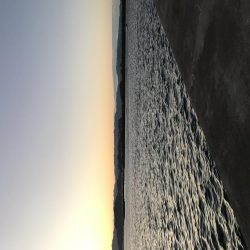 久しぶりのドラゴン