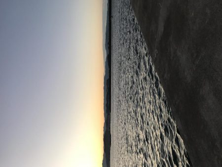 久しぶりのドラゴン