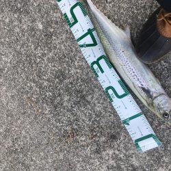 足元に現れた！