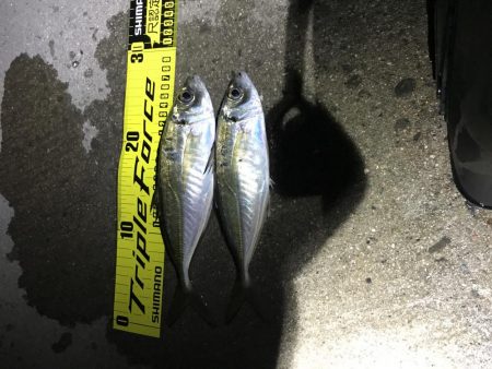 連チャン淡路遠征