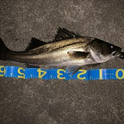 静かなる如意棒