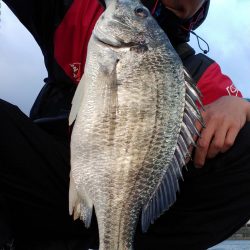 タチウオ狙いのワインドで