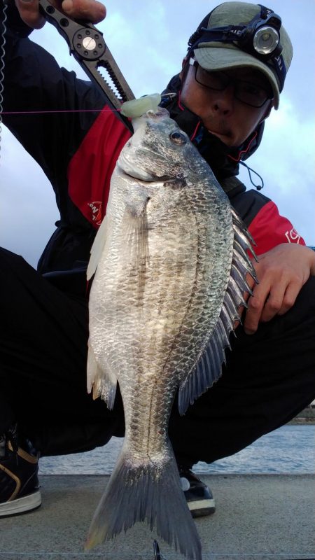 タチウオ狙いのワインドで