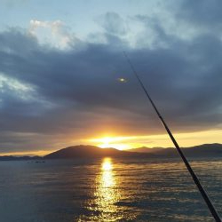 イカの気持ち６