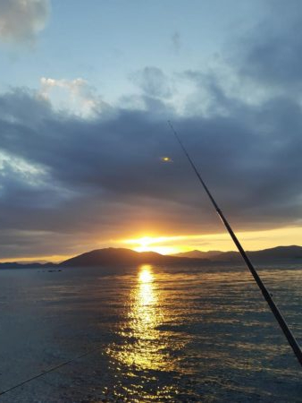 イカの気持ち６