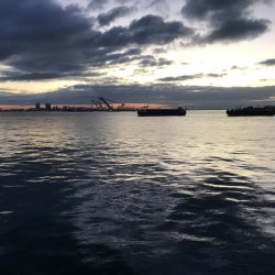 今日も寒かったです