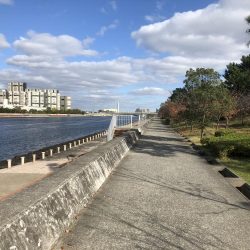 フカセ釣りプラクティス