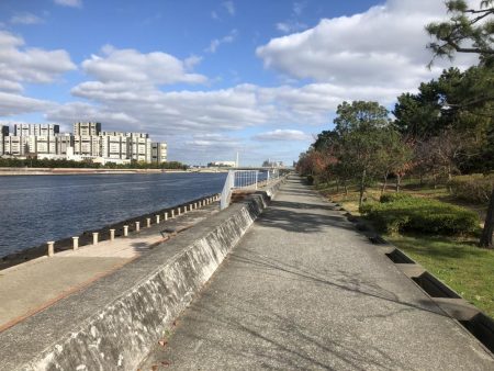 フカセ釣りプラクティス