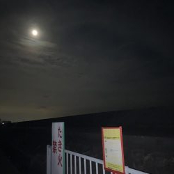 姫路港アジング釣果