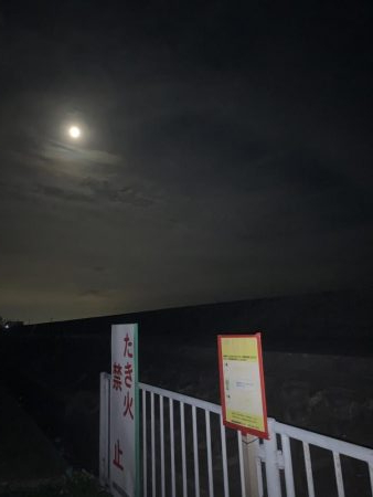 姫路港アジング釣果