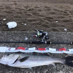 波打ち際のバイト