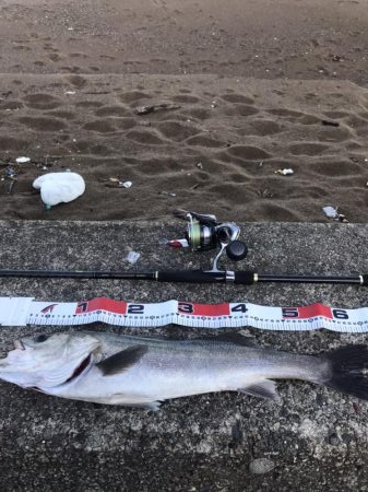 波打ち際のバイト